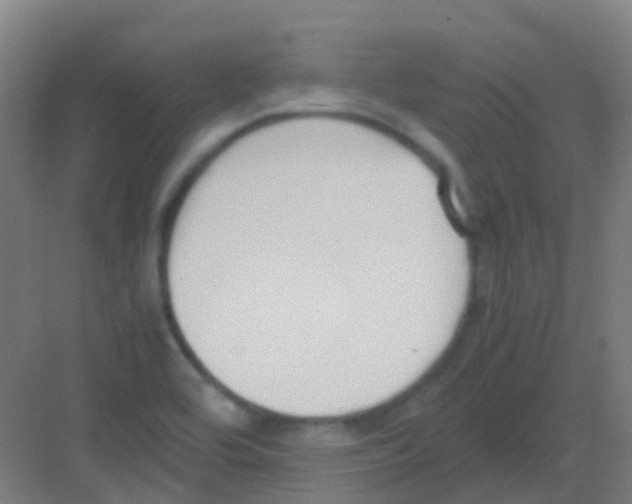 X0000081371464200702082334