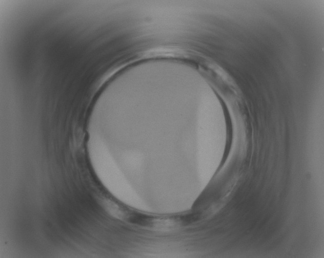 X0000081371465200702082333