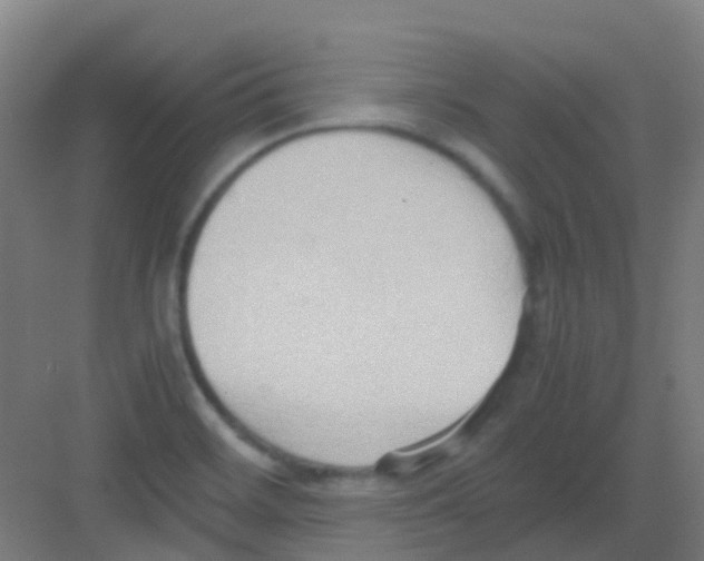 X0000081371468200702082333