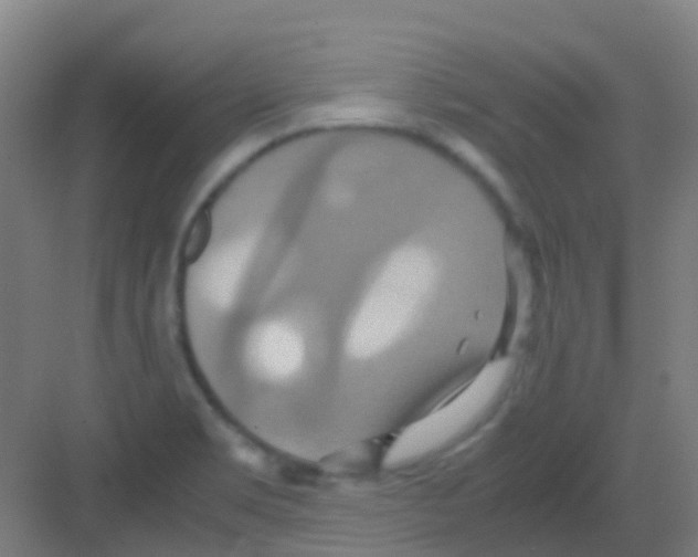 X0000081371469200702082333