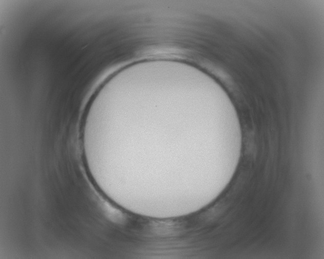 X0000081371470200702082333