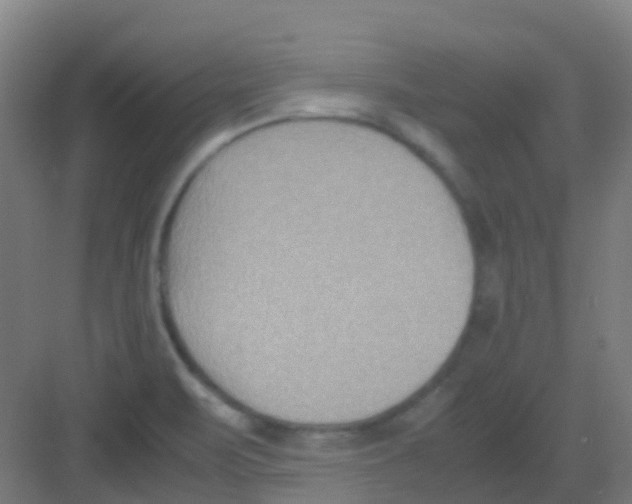 X0000081371471200702082333