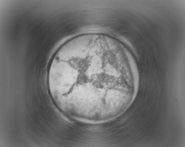 X0000081371472200702082333