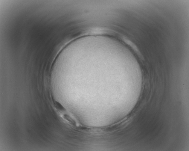 X0000081371473200702082333