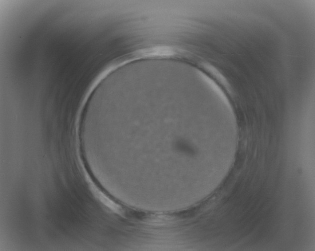 X0000081371475200702082333