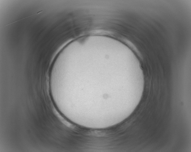 X0000081371476200702082333