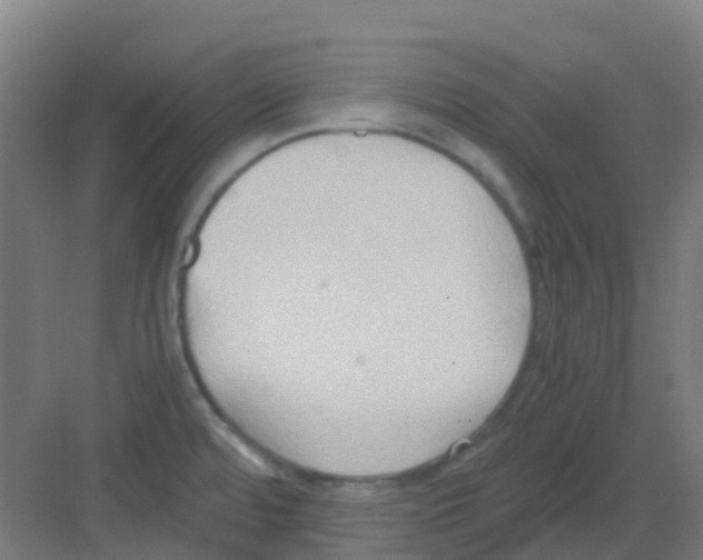 X0000081371480200702082333