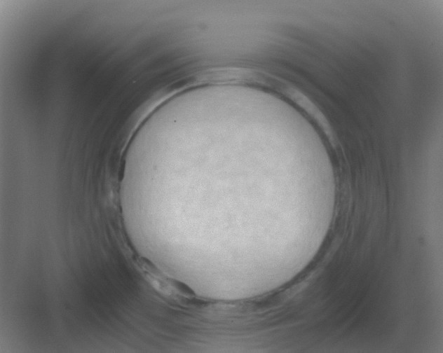 X0000081371481200702082333