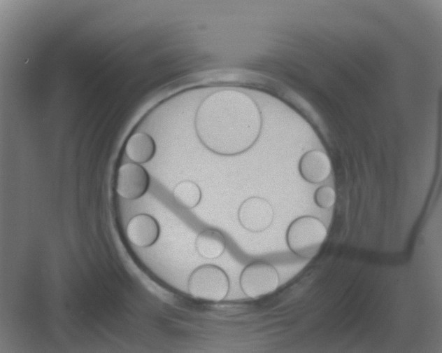 X0000081371483200702082333