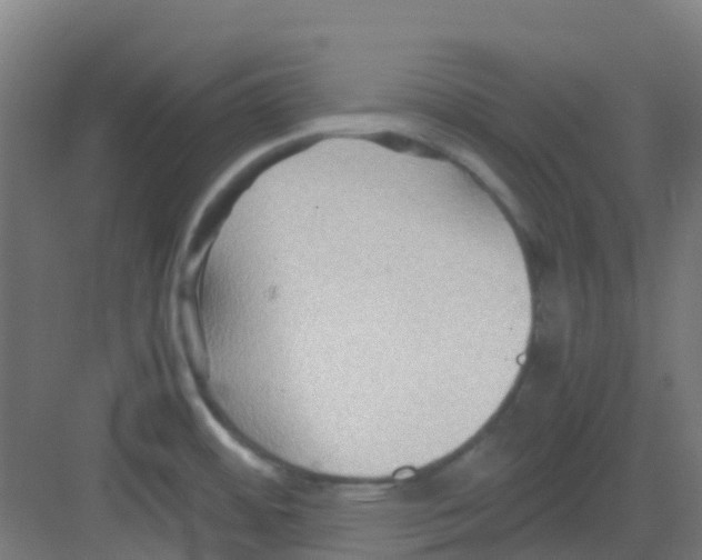 X0000081371484200702082333