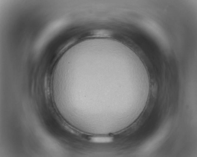 X0000081371487200702082333