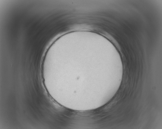 X0000081371488200702082333