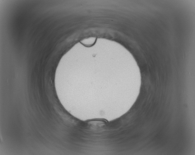 X0000081371489200702082332