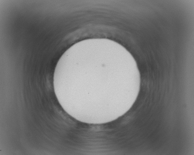 X0000081371490200702082332