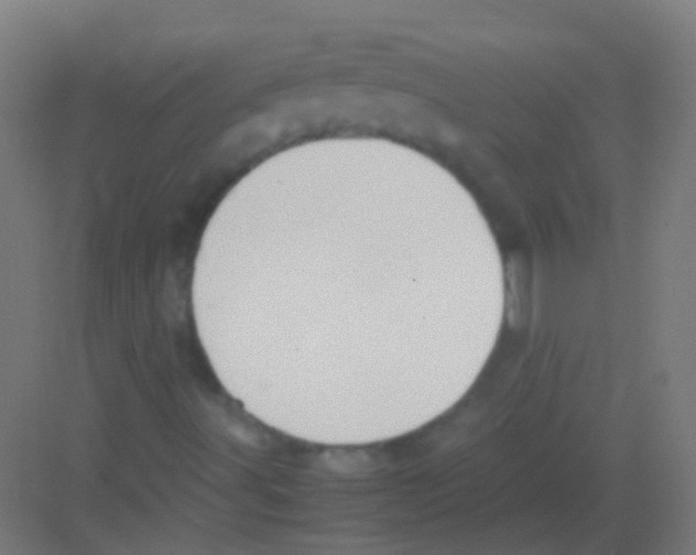 X0000081371491200702082332