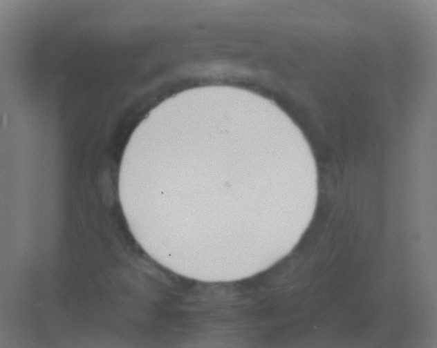 X0000081371493200702082332