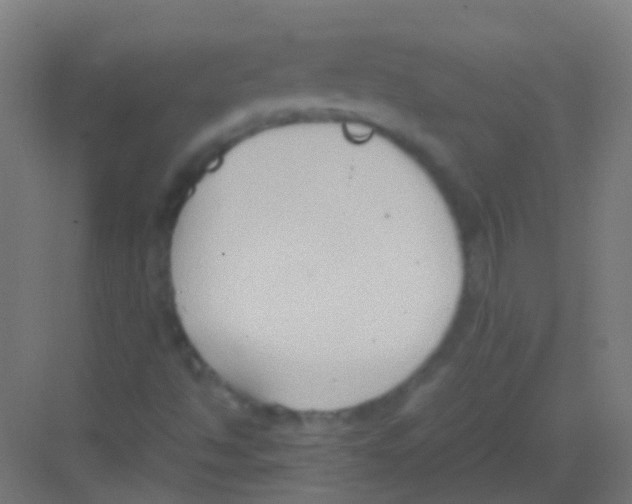 X0000081371494200702082332