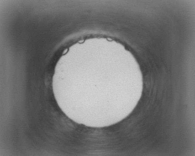 X0000081371495200702082332