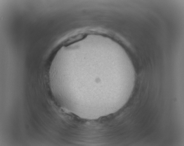 X0000081371496200702082332