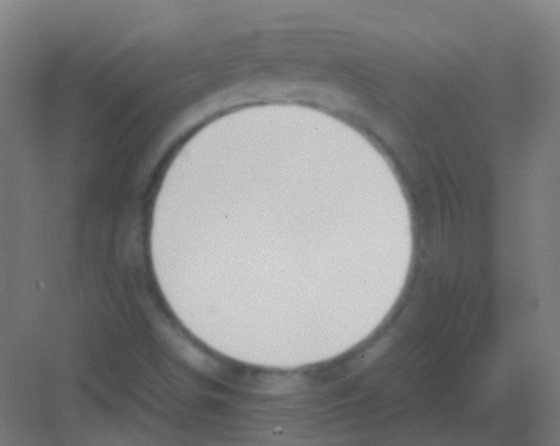 X0000081371498200702082332