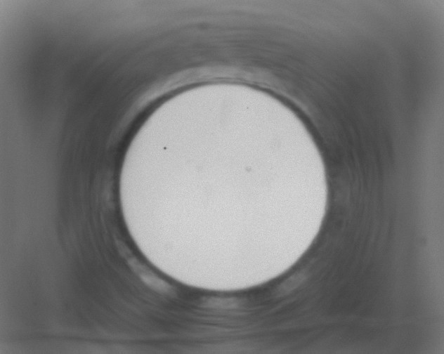 X0000081371499200702082332