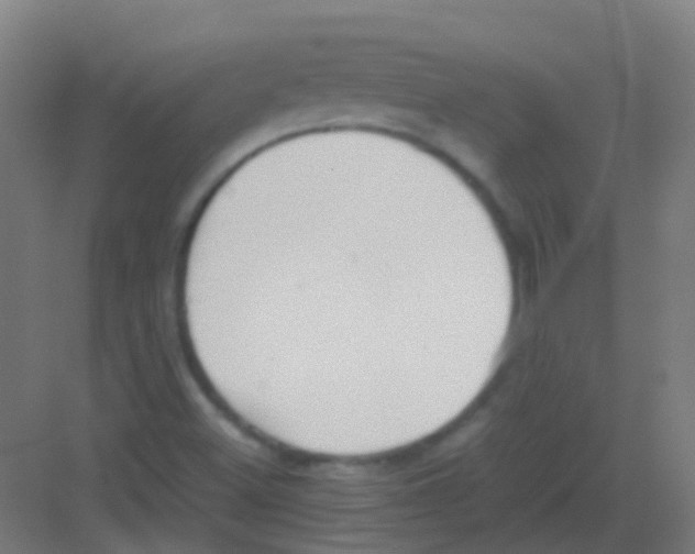 X0000081371500200702082332