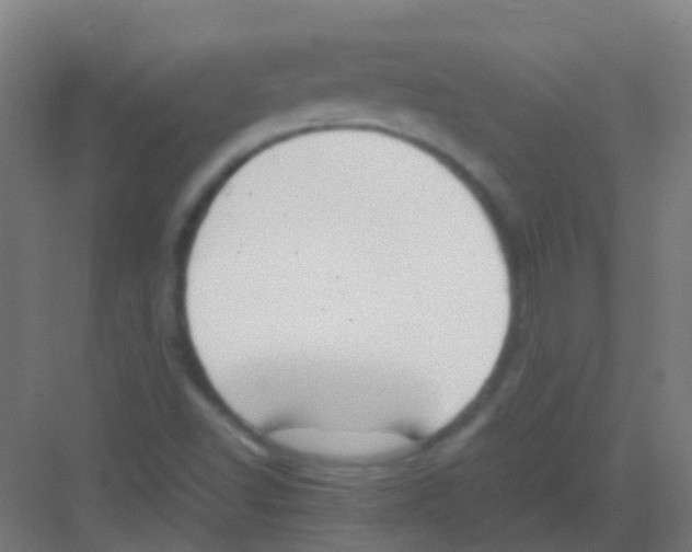 X0000081371502200702082333