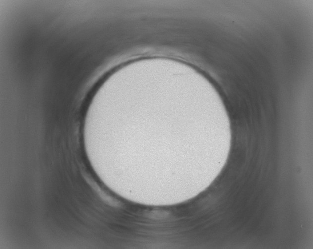 X0000081371503200702082333