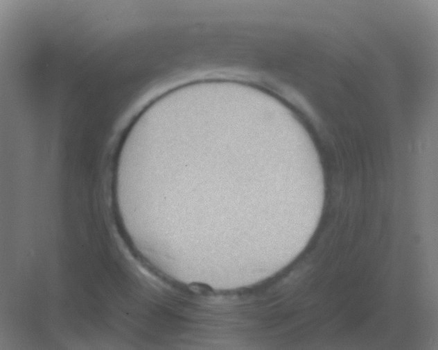 X0000081371504200702082333