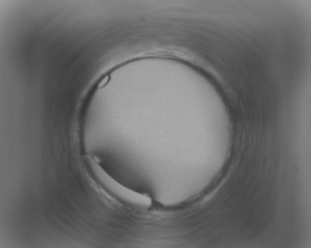 X0000081371506200702082333