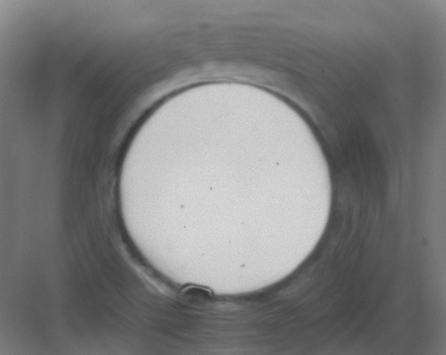 X0000081371507200702082333