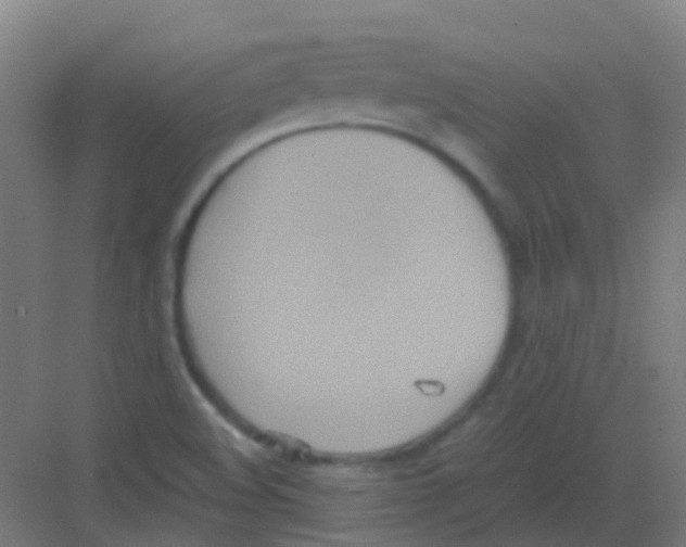 X0000081371508200702082333