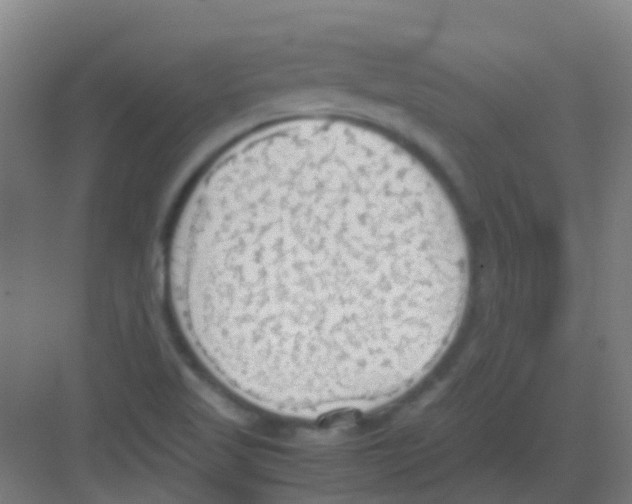 X0000081371509200702082333