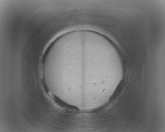 X0000081371510200702082333