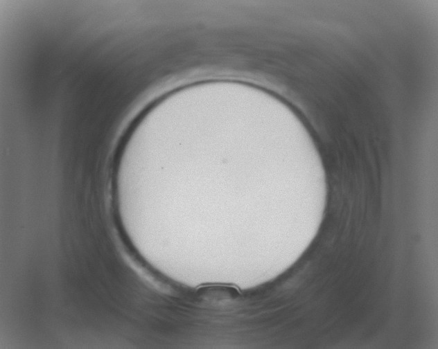 X0000081371511200702082333