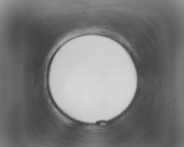 X0000081371512200702082333