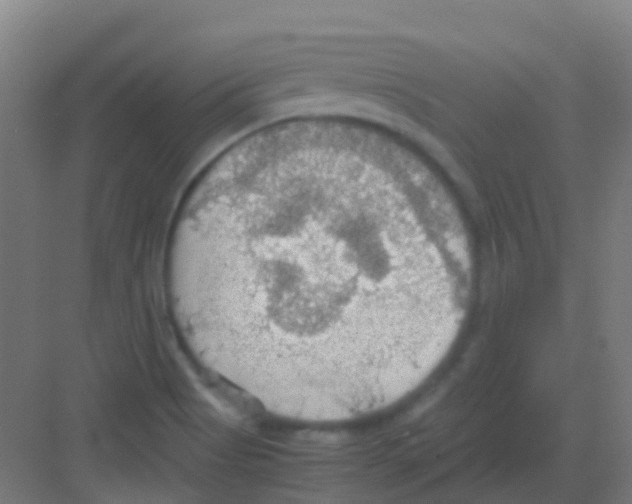 X0000081371513200702082333