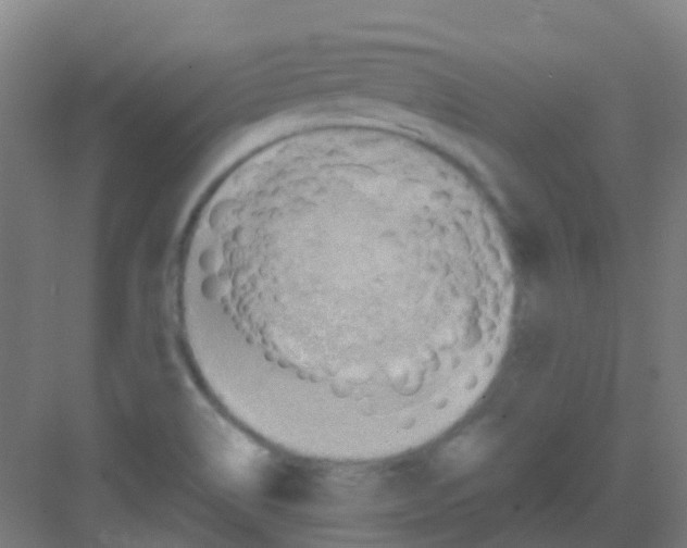 X0000081371514200702082333