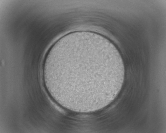 X0000081371517200702082333