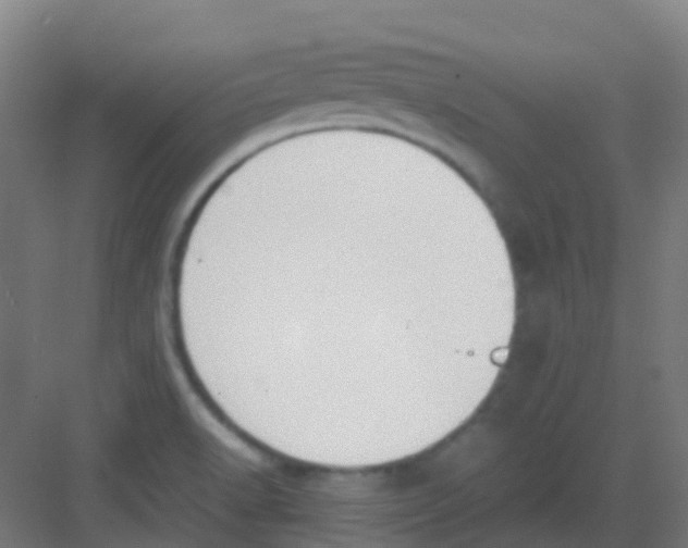 X0000081371518200702082333