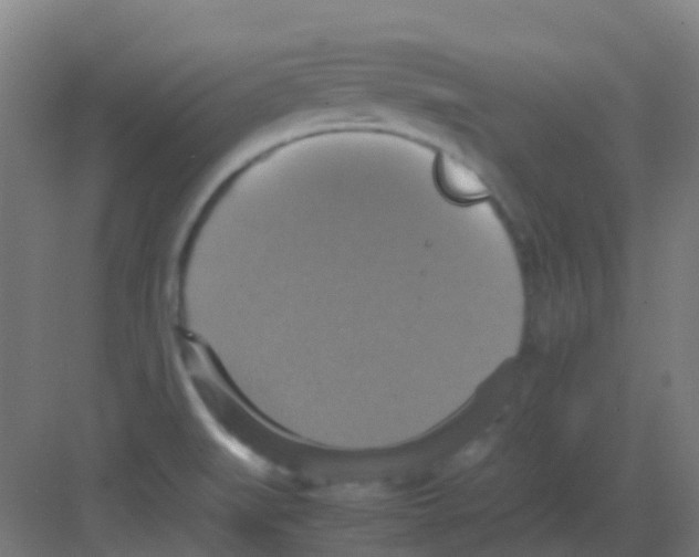 X0000081371519200702082333