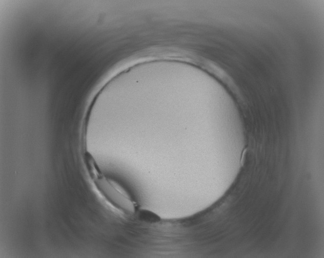 X0000081371520200702082333