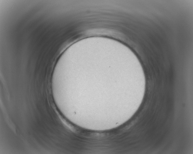 X0000081371521200702082333