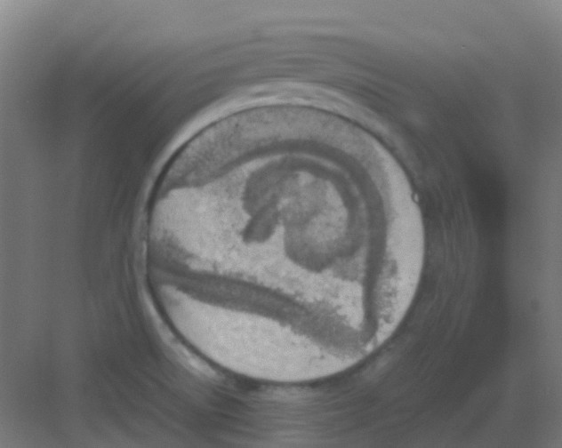 X0000081371522200702082333