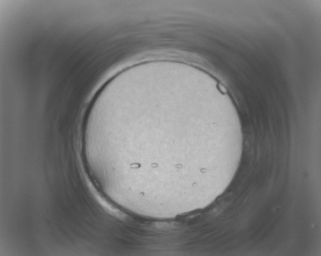 X0000081371523200702082333