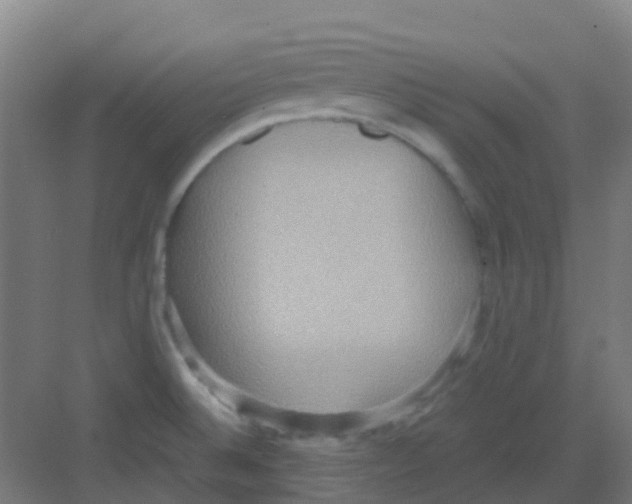 X0000081371524200702082333