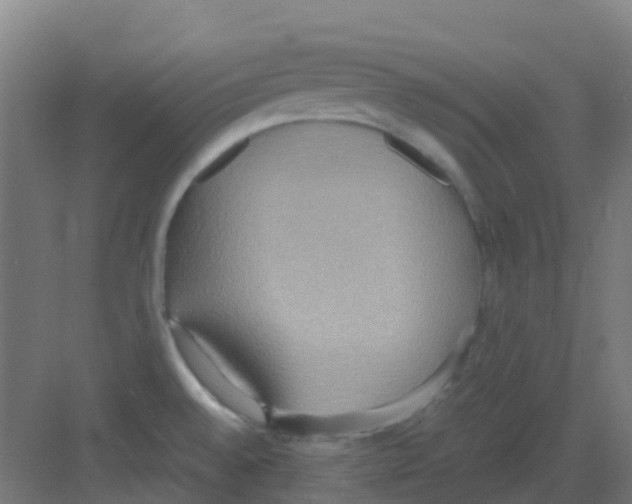 X0000081371528200702082333