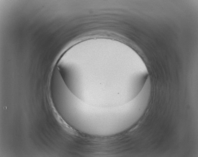 X0000081371530200702082333