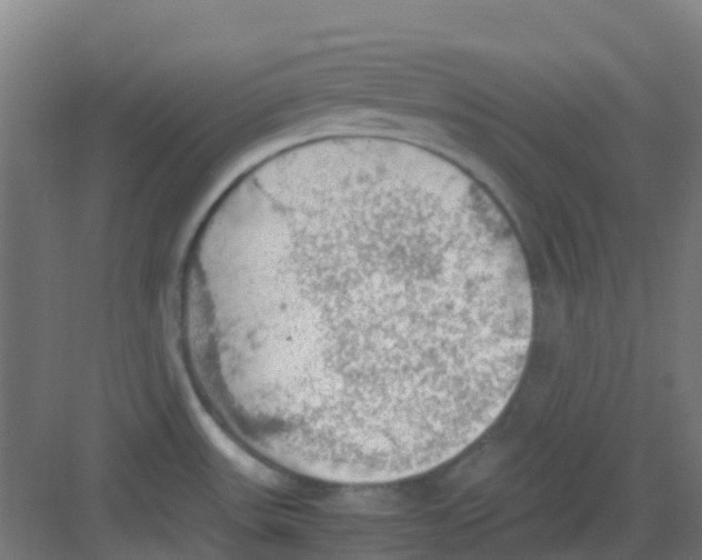 X0000081371531200702082333