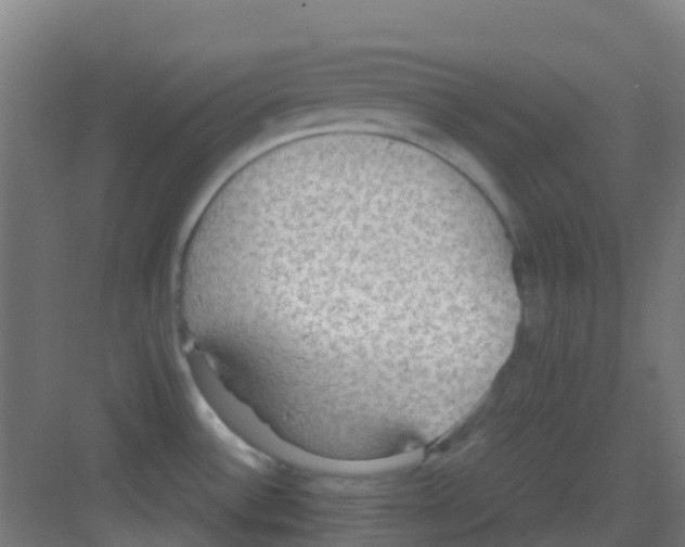 X0000081371532200702082333